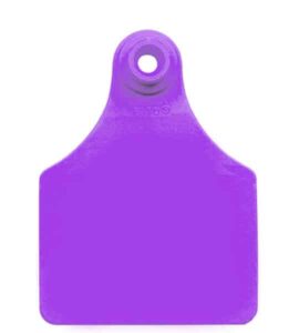 Allflex Purple Maxi Female 2 Piece Cattle Ear Tag - Durable Livestock ID