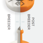 FOFIA Cattle NLIS  Button Tag