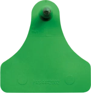Allflex medium male