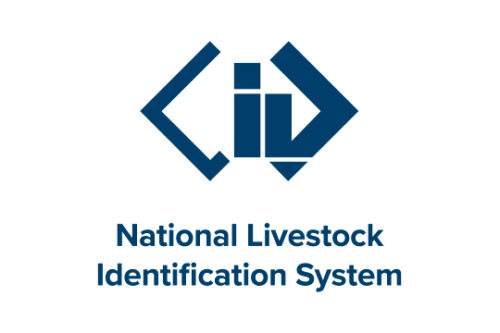 NLIS Logo